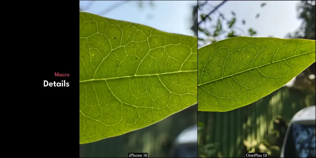 OnePlus 13 vs iPhone 16: Which Smartphone Should You Buy Under ₹70,000? 29 OnePlus 13 vs iPhone 16 Camera Test 9