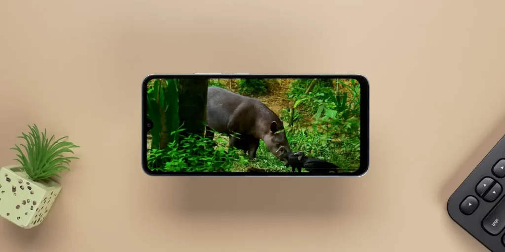 POCO M7 Review: Is This Budget Smartphone Worth Rs 10,000? 20 POCO M7 Review Multimedia 1