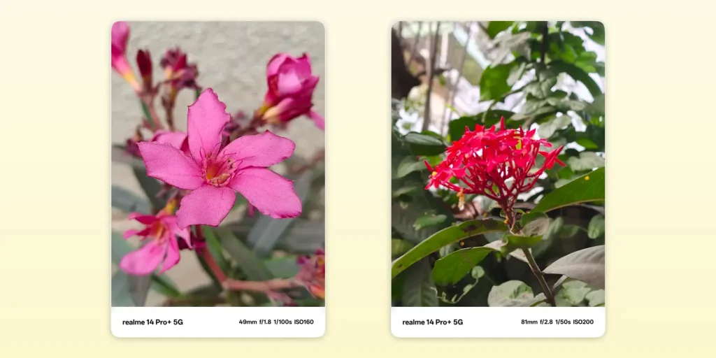 Realme 14 Pro+ Review: A Mid-Range Marvel with Stunning Design and Cameras 15 Realme 14 Pro Review Camera Test 3