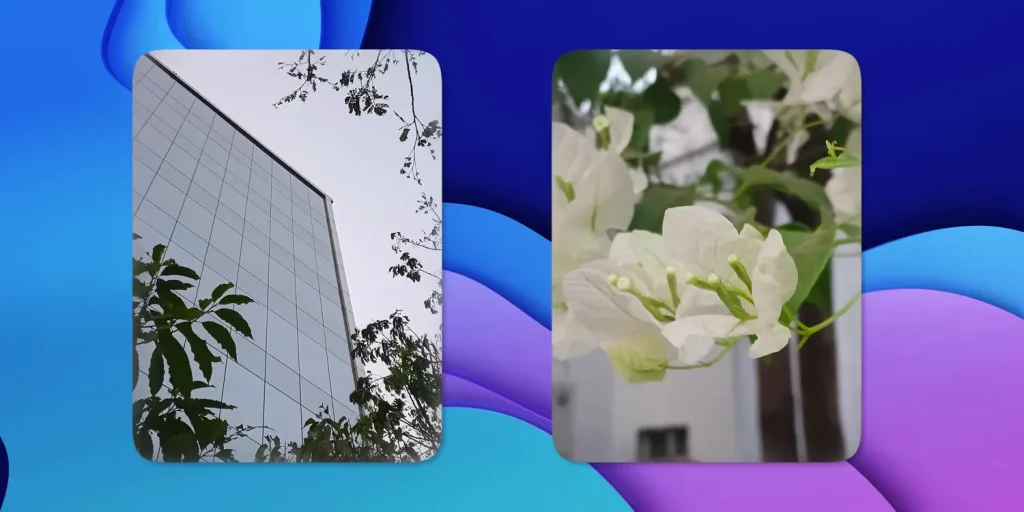 Samsung Galaxy F06 5G Review: Is It Worth It? 21 Samsung Galaxy F06 5G Review Camera Test 5