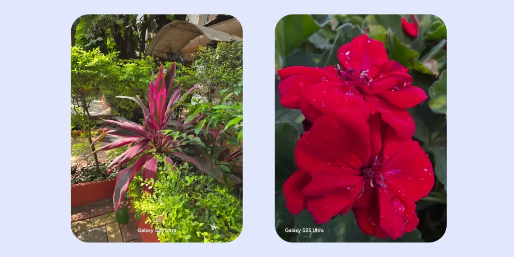 Samsung Galaxy S25 Ultra Review: Is It Worth the Hype? 21 Samsung Galaxy S25 Ultra Review Camera Test 4
