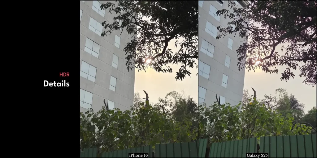 Samsung Galaxy S25 vs iPhone 16: Which Flagship Should You Buy in 2025? 22 Samsung Galaxy S25 vs iPhone 16 Camera Test 5