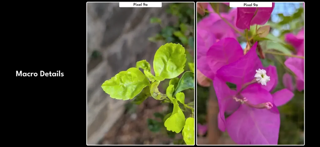 iPhone 16e vs Pixel 9a: Which Compact Flagship Should You Buy? 10 iPhone 16e vs Pixel 9a camera test 6
