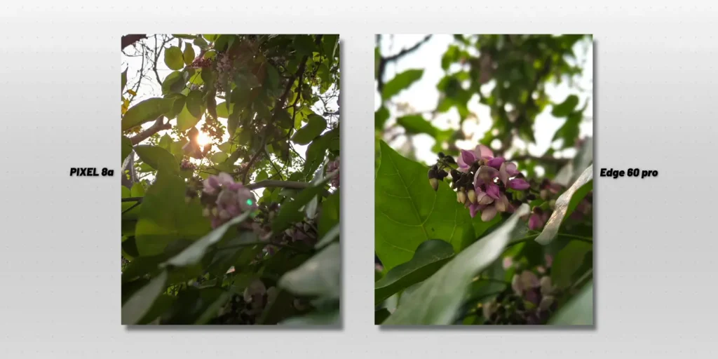 Google Pixel 8a vs Pixel 9a Camera Test 2