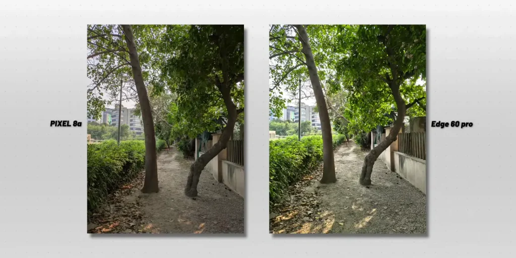 Google Pixel 8a vs Pixel 9a Camera Test 3